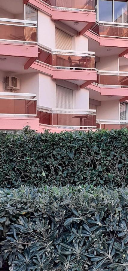 Studio Pop Canet En Roussillon المظهر الخارجي الصورة